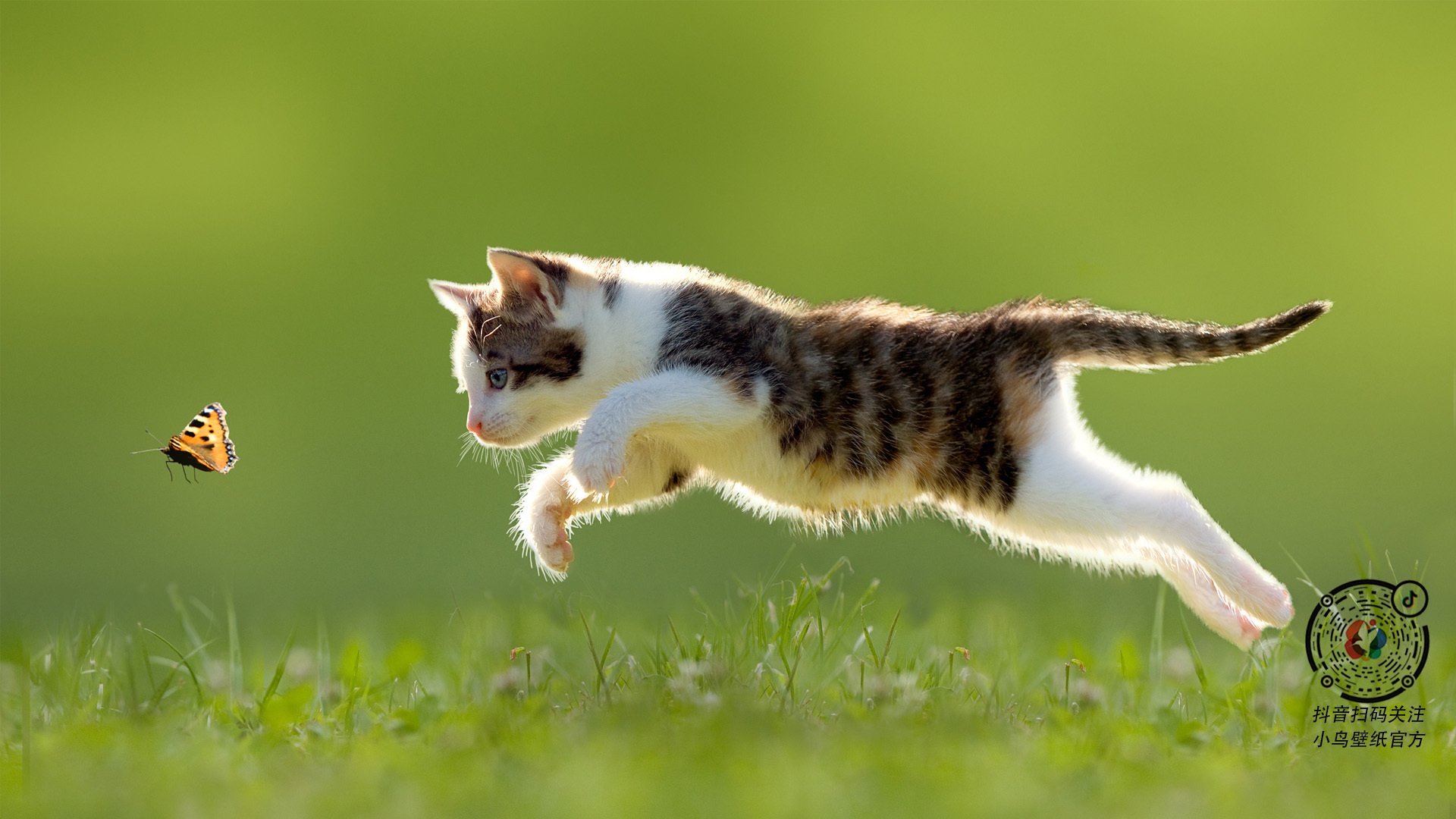 博塔弗戈频繁犯规,难以控制节奏,博塔弗戈对福塔雷萨