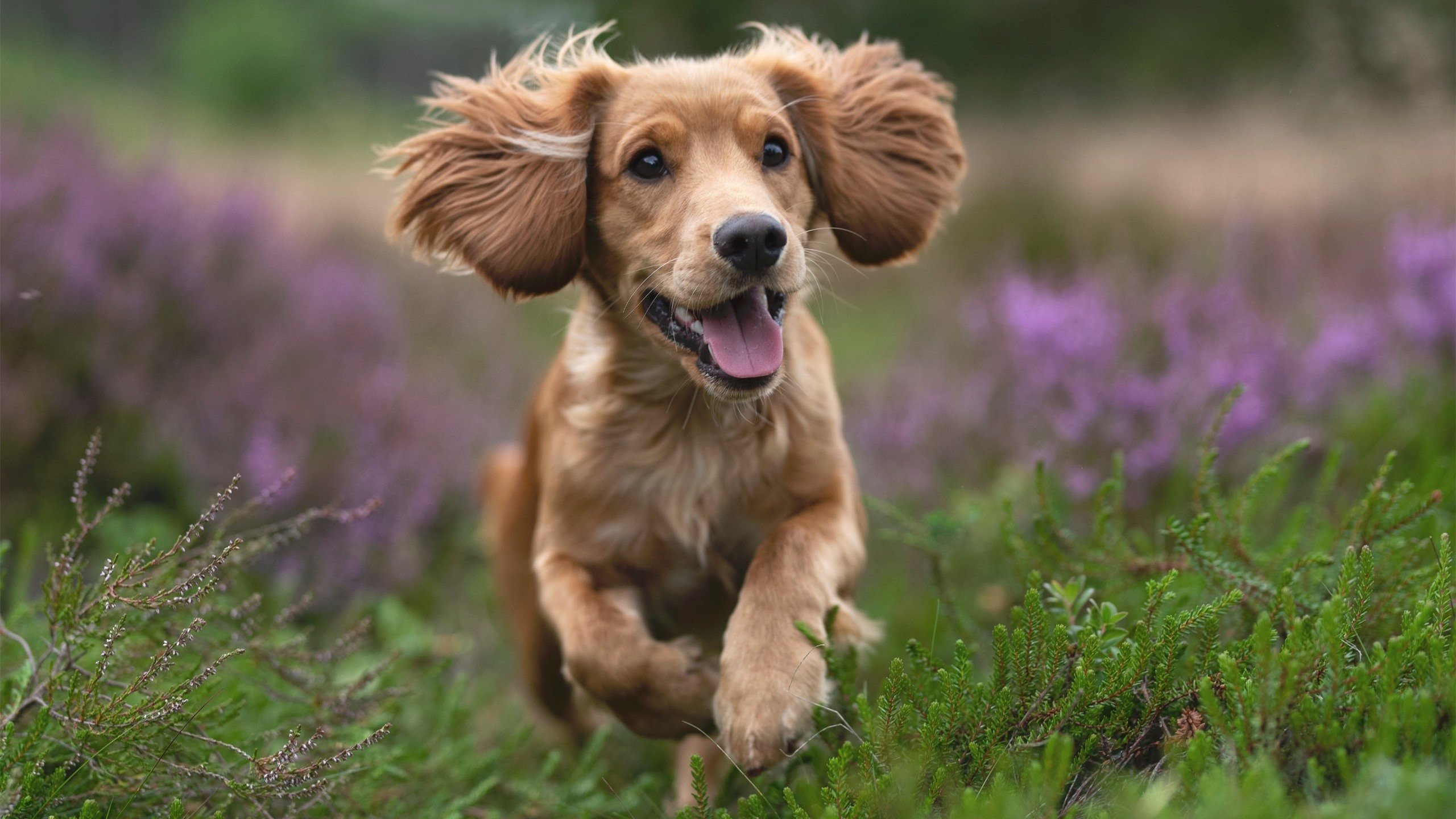 尤文小组赛战绩2胜1负,排名第二晋级16强,尤文经典比赛