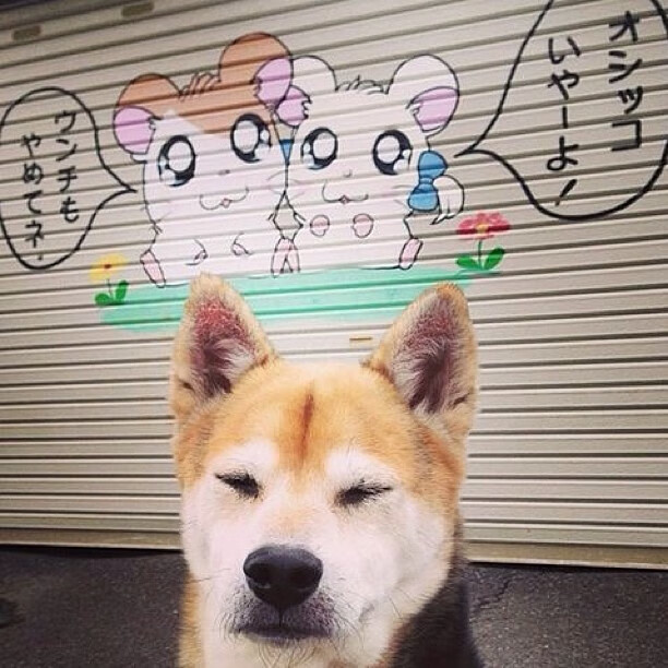 尤文小组赛战绩2胜1负,排名第二晋级16强,尤文经典比赛