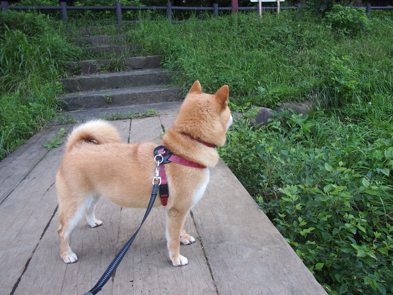 76人组织球员参与家庭日活动提升归属感,76人成员名单