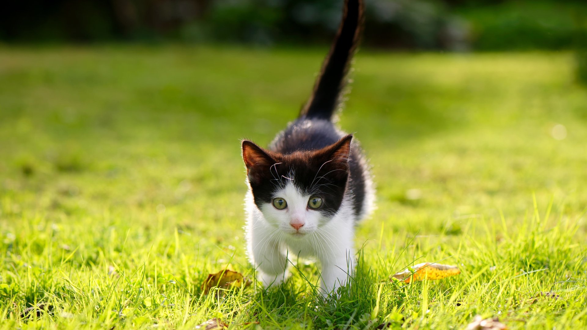 国际足球明星公益活动在中国落地,慈善事业推升,足球明星慈善赛