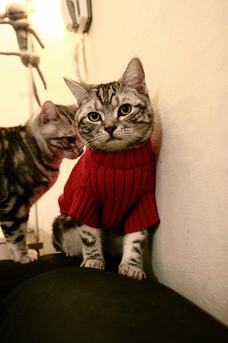 李娜公开课讲述比赛策略与临场应变,李娜赛后采访